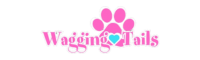 Wagging Tails Pet Resort and Spaw | Dog Daycare Dog Boarding – Cat & Dog Grooming CT